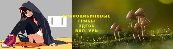 a pvp Баксан